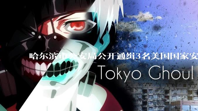 哈尔滨市公安局公开通缉3名美国国家安全局（NSA）特工，哪些信息值得关注？