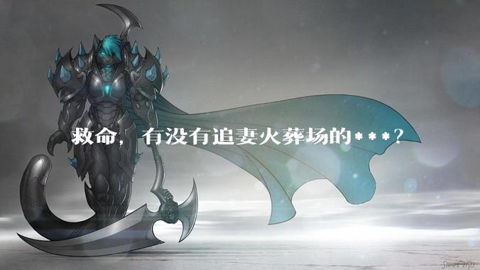 救命，有没有追妻火葬场的***？